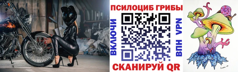 Галлюциногенные грибы MAGIC MUSHROOMS  Купить  Камешково 